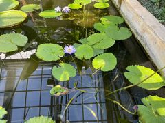 -国家植物园南园