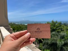 -海南清水湾莱佛士酒店