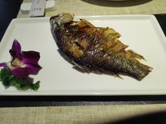 蘇鳞鲫鱼-楚禾宴·家宴(光谷大道店)