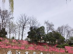 -西安曲江寒窑遗址公园