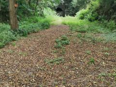 -中国铁路上海局集团有限公司杭州职工培训基地