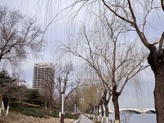 -西海子公园