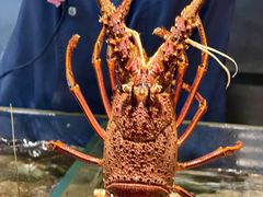 -渔傅·霞浦滩涂海鲜(建平店)