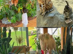 -中国天府农业博览园