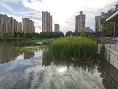 -昆山城市生态森林公园