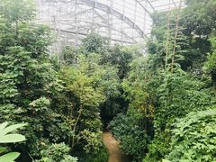 -南山植物园