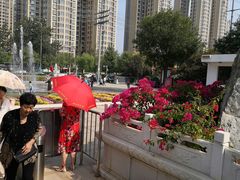 -燕郊植物园