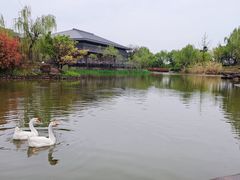 -鹦鹉寺公园