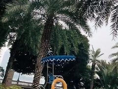 -白天鹅宾馆-健身中心