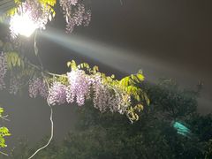 -路小缦·珍馐美馔(市心北路店)
