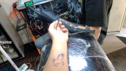 -众刺纹画·纹身·穿孔饰品·海娜定制