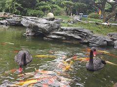 -扬州瘦西湖温泉