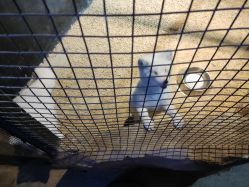 -酷嗒动物文化乐园(cutezoo西溪乐天城店)