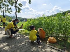 -红山村