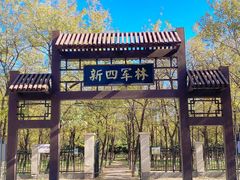 -天元公园