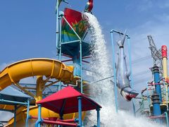 -苏州乐园森林水世界