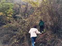 -秦岭风景区