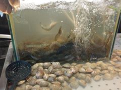 -钱小奴创意自助餐厅·原切谷饲安格斯畅吃(苏州昆山招商花园城店)