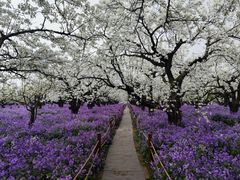 -江苏三台山国家森林公园