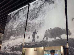 -大榕树下顺德菜(融创茂店)