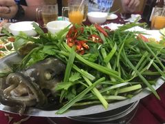 -QQ海鲜餐厅