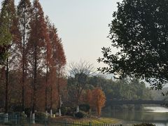 -南昌动物园