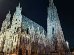 -斯蒂芬主教座堂(Stephansdom)