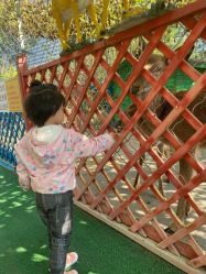 -萌宠亲子动物乐园(槐房万达店)