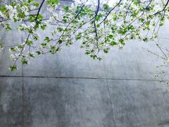 -国际非物质文化遗产博览园