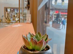 -Peet's Coffee皮爷咖啡(豫园店)