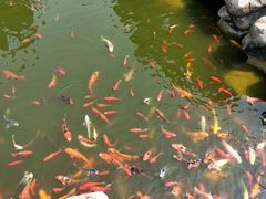 -龙宫洞风景区