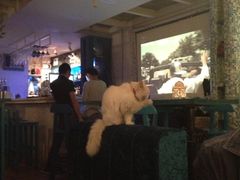 iphone_upload_pic-Sirena海妖日咖夜酒