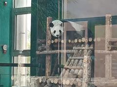 -大青山野生动物园