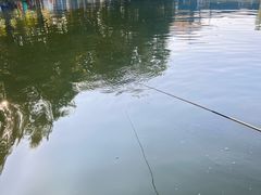 -酷鱼垂钓CLUB(朝阳区博大路店 )