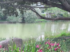 -江心屿景区