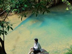 -广州白江湖森林公园