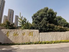 -青枫公园
