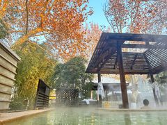 -春晖园度假酒店温泉