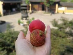 -无锡惠山寺