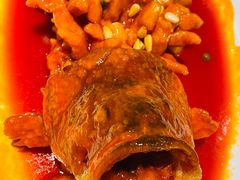 -西湖春天•老字号杭州菜(百汇店)