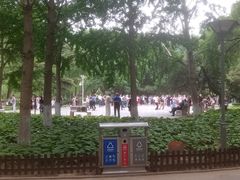 -康庄公园