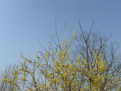 -黄河富景生态世界