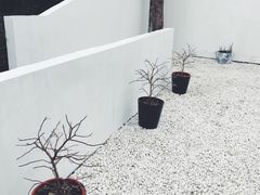 -大隐国际青年旅舍(上海陆家嘴东方明珠店)