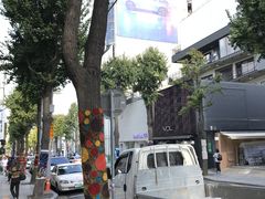 -金北顺大锅家(신사본점)