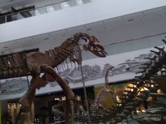 -中国地质大学逸夫博物馆