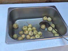 -313羊庄·荣耀·内蒙烧麦(亚运村店)