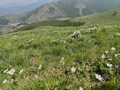 -灵山
