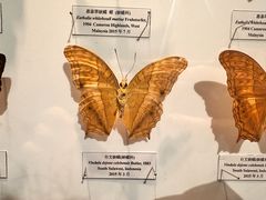 -吉林省自然博物馆