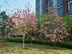 -中国政法大学(昌平校区)