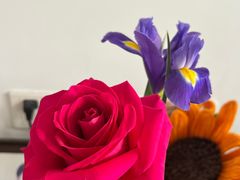 -FEI FEI FLOWER鲜花店·气球派对·宝宝宴布置(虹口德必运动Loft店)